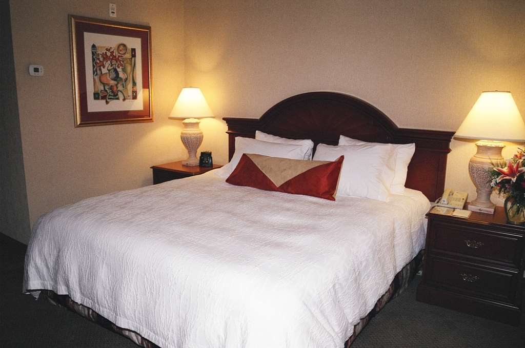 Hilton Garden Inn Kitchener/Cambridge Pokój zdjęcie
